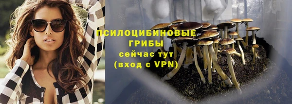 каннабис Верея